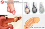 Phòng khám đa khoa Phượng Đỏ