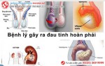 Phòng khám đa khoa Phượng Đỏ