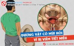 Phòng khám đa khoa Phượng Đỏ