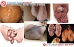 Phòng khám đa khoa Phượng Đỏ
