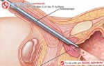 Phòng khám đa khoa Phượng Đỏ