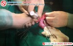 Phòng khám đa khoa Phượng Đỏ