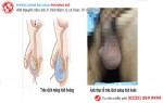 Phòng khám đa khoa Phượng Đỏ