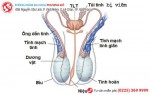 Phòng khám đa khoa Phượng Đỏ