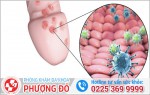 Phòng khám đa khoa Phượng Đỏ