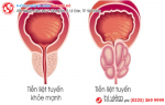 Phòng khám đa khoa Phượng Đỏ