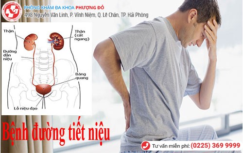 Cần lưu ý với một số bệnh đường tiết niệu thường gặp