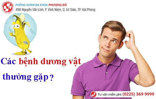 Những bệnh thường gặp ở dương vật và cách hỗ trợ điều trị