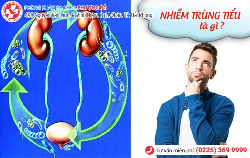 Nhiễm trùng tiểu và những điều cần phải biết