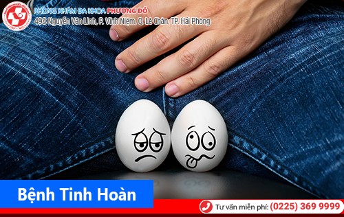 Địa Chỉ Khám Tinh Hoàn Uy Tín Tại Hải Phòng