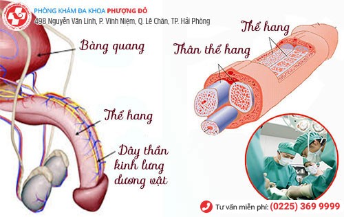 Địa chỉ chữa xuất tinh sớm uy tín tại Hải Phòng