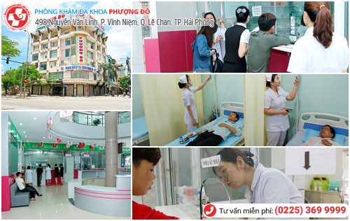 Chữa tinh trùng bị vón cục ở Phượng Đỏ bằng phương pháp tiên tiến