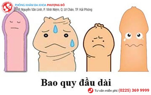 Hình ảnh dài bao quy đầu