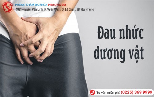 Đau nhức dương vật chớ nên xem thường