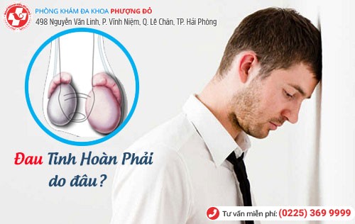 Cảnh giác với triệu chứng đau tinh hoàn phải