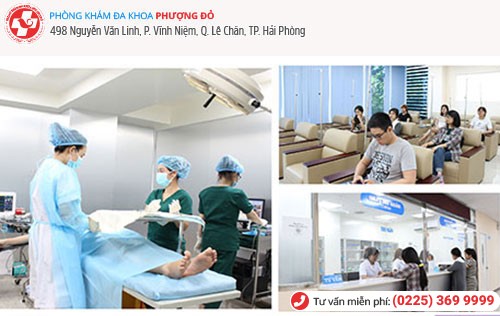 Phòng Khám Phượng Đỏ tiếp nhận hơn 300 ca bệnh tư vấn mỗi ngày