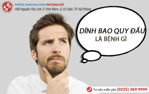 Dính bao quy đầu là bệnh gì?