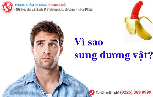 Nguyên nhân bị sưng dương vật và cách chữa