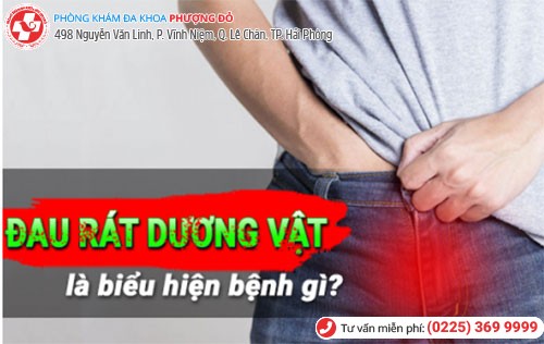 Thăm khám sớm nếu thấy dương vật đau rát