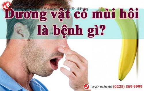 Dương vật nặng mùi là bị sao?