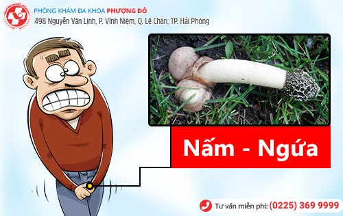 Chữa nấm dương vật bằng thuốc có hiệu quả không?