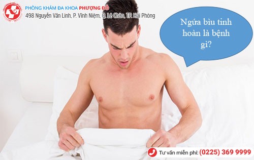 Ngứa bìu tinh hoàn – dấu hiệu tiềm ẩn của nhiều bệnh lý