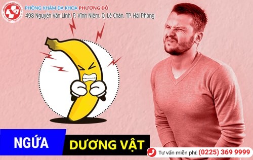 Ngứa bộ phận sinh dục nam - dấu hiệu không nên chủ quan