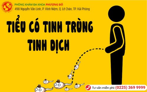 Tiểu có tinh trùng, tinh dịch