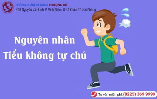 Nguyên nhân tiểu không tự chủ