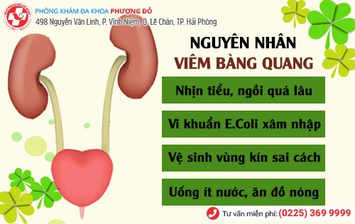 Nguyên nhân viêm bàng quang