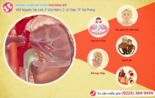 Ăn ngon ngủ yên nhờ phương pháp điều trị viêm đường tiết niệu tiên tiến này