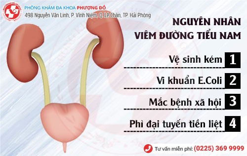 Nguyên nhân viêm đường tiểu nam