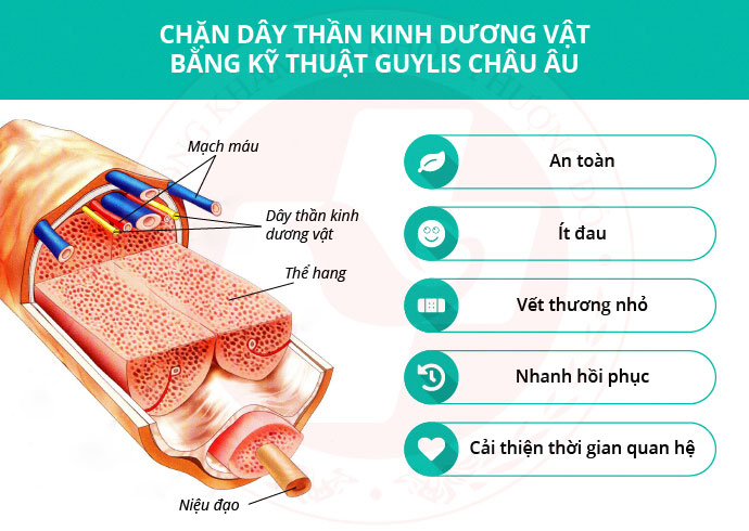 cách trị xuất tinh sớm