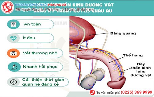 yếu sinh lý nên ăn gì