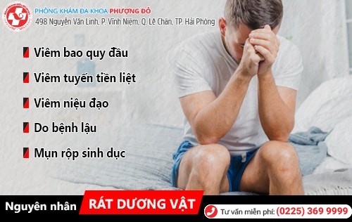 Rát dương vật ở nam giới là dấu hiệu bệnh gì?