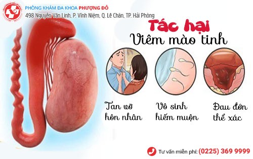 Viêm Mào Tinh Hoàn Bệnh Nam Khoa Nguy Hiểm Cần Được Điều Trị Ngay