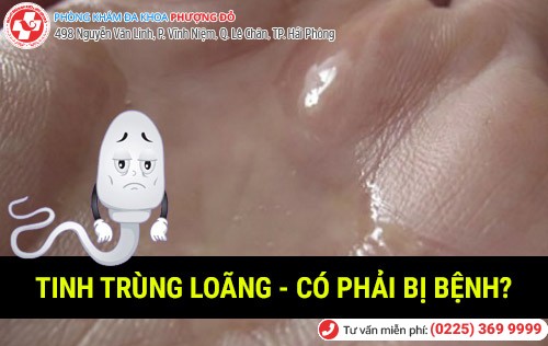 Hiện tượng tinh trùng loãng bất thường