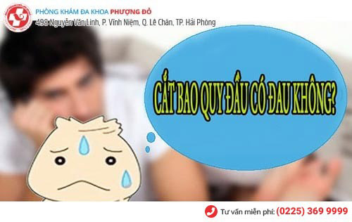 Cắt bao quy đầu có đau không?