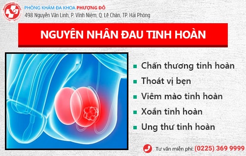 Đau tinh hoàn là bị bệnh gì?