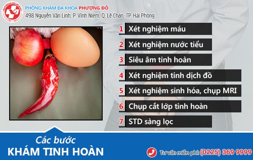 Khám tinh hoàn là khám những gì? Địa chỉ khám tinh hoàn ở Hải Phòng