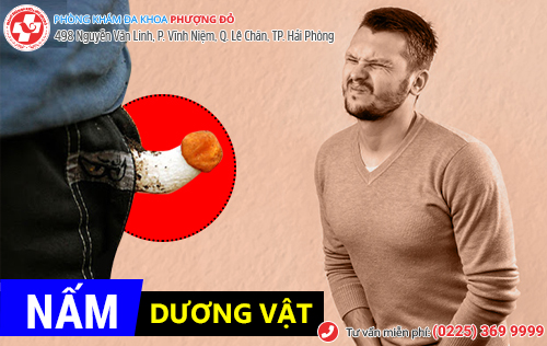 Nấm dương vật khiến 