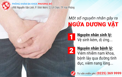 ngứa dương vật ở nam giới