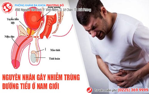 Nhiễm trùng đường tiểu là bệnh gì?