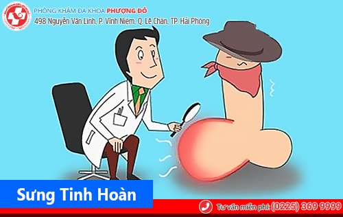 Sưng tinh hoàn là bị bệnh gì?